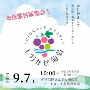 南三陸町の新ブランド”しおかぜ葡萄”が誕生！9月7日(土)初の直売会を開催！